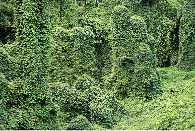 《莫塔守山人》更新宣传片 推出线上合作模式