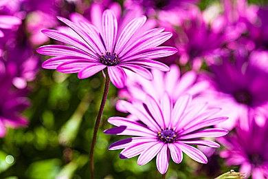 《天国：拯救》Switch版3月14日发售 预购已开启