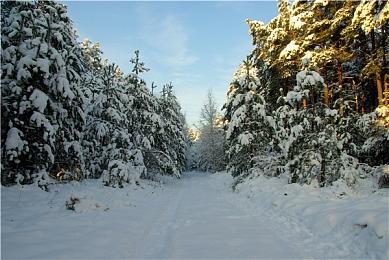 育碧澄清：《刺客信条》中心应用Animus Hub额外内容完全免费