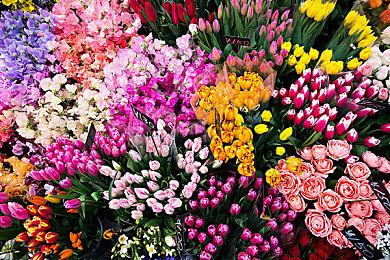 《暗黑破坏神4》S9 PTR直播总结 压制玩法彻底歇菜